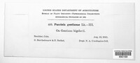 Image Associated With the Occurence